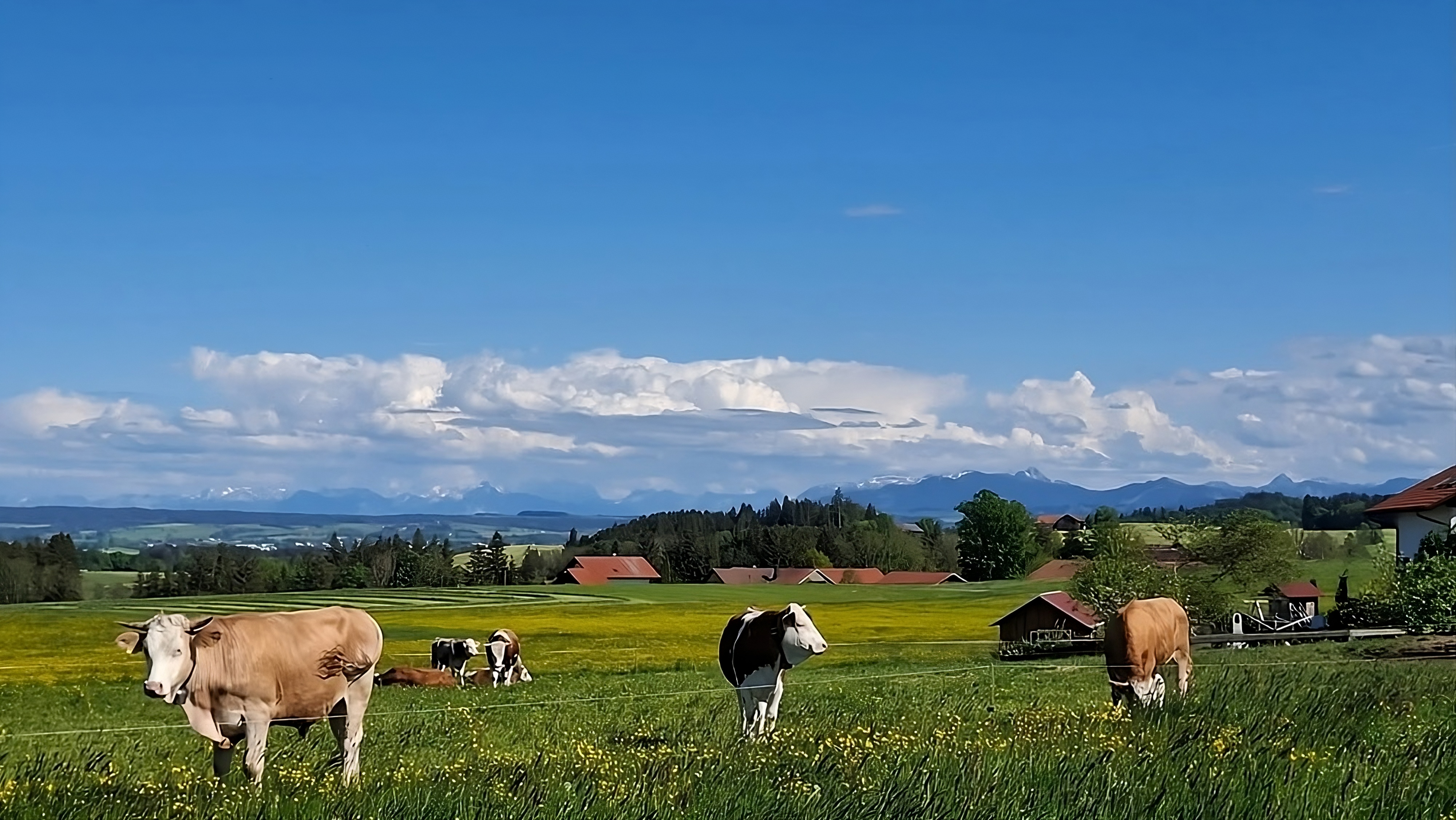 Your vacation at Hengeler's Hof – Relaxation with mountain panorama, sun, nature and mountain view.