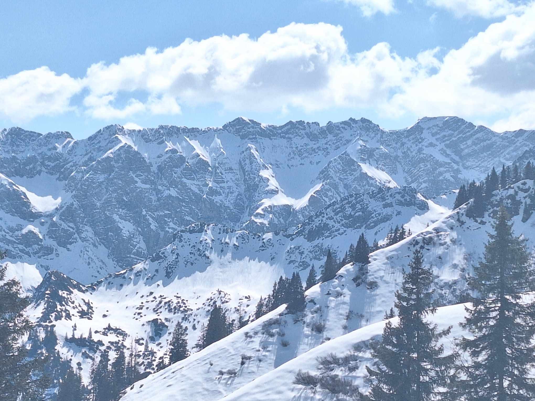 Winter wonderland included